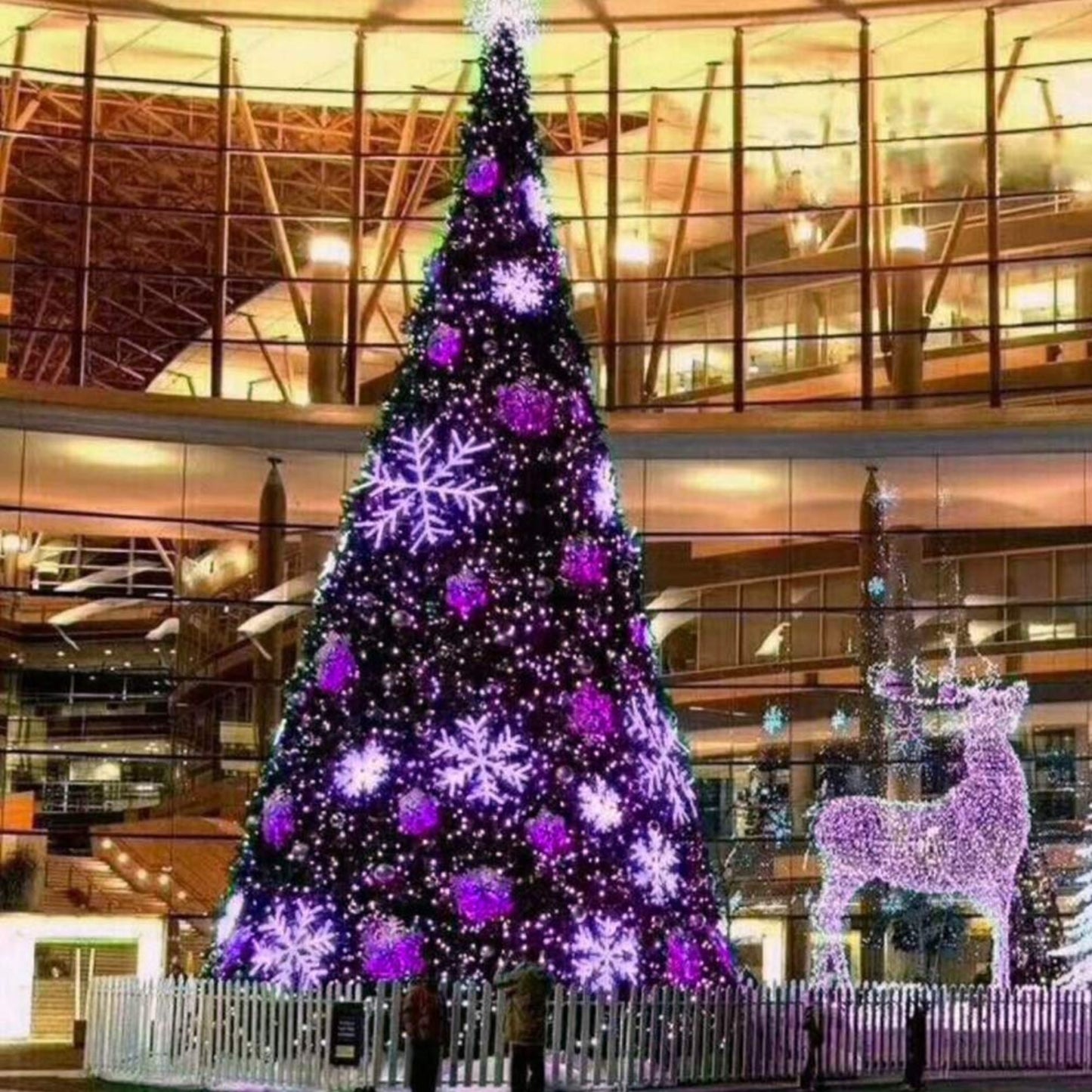 66ft Halloween Decorative Mini Lights, 200 LED Green Wire Fairy Starry String Lights Plug in, 8 Lighting Modes, for Indoor Outdoor Xmas Tree Wedding Party Decoration (Purple)