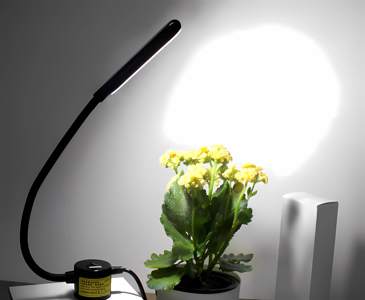 Sewing Machine Light, 30 Led Flexible Gooseneck Work Light with Magnetic Mounting Base, 6000K Daylight Workbench Lamp for Lathes, Drill Presses, 3D Printer - Black