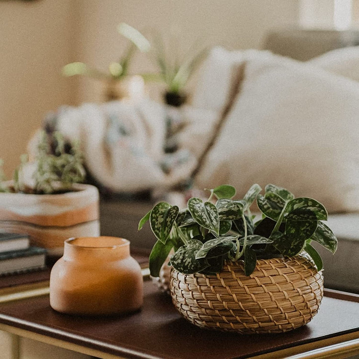 Set of 3 Small Wicker Basket with Lid, Round Woven Seagrass Baskets, Little Handmade Rattan Storage Basket Box for Shelf, Home, Bathroom Decor
