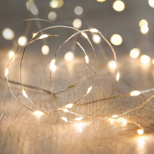 LED Fairy String Lights, 10 Ft/3M 30leds Firefly String Lights Garden Home Party Wedding Festival Decorations Crafting Battery Operated Lights, Warm White