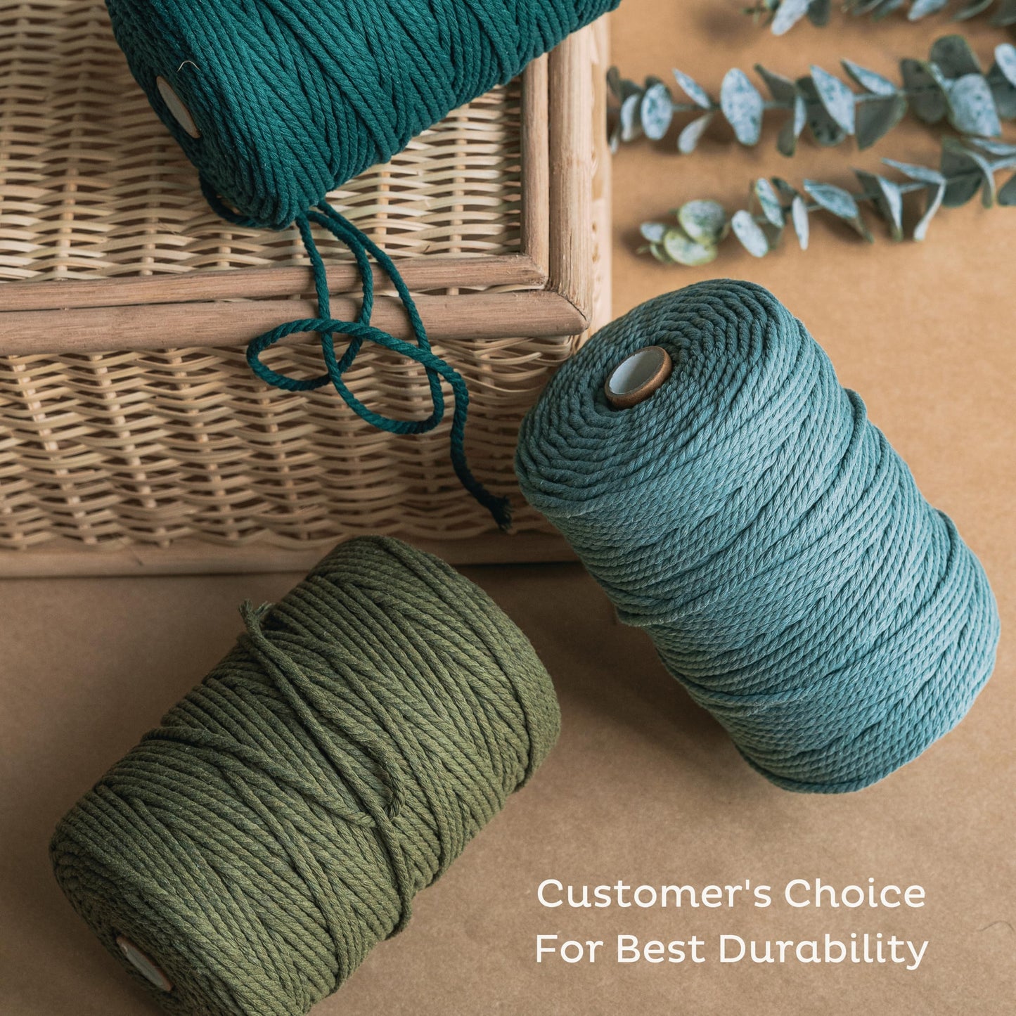 Theory Cotton 3mm Macrame Cord 220 Yards - 4mm 5mm Soft Macrame Rope Perfect for Knots - Supplies for Wall Hangers & Boho Decorations - Cotton String (Cream 3mm 220 Yards)