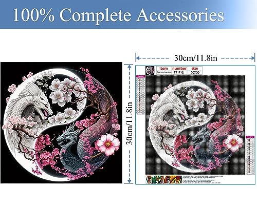 Dragon Diamond Painting Kits-Taichi Dragon Diamond Painting Kits for Adults,5D DIY Full Drill Dragon Diamond Art for Home Wall Decor 12x12inch