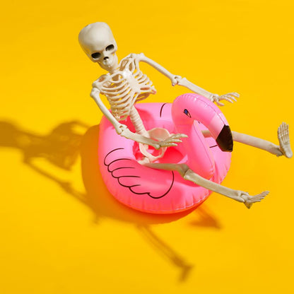 5 Packs Halloween Skeletons, 16" Halloween Full Body Skeleton with Posable Joints for Haunted House Graveyard Props Decor