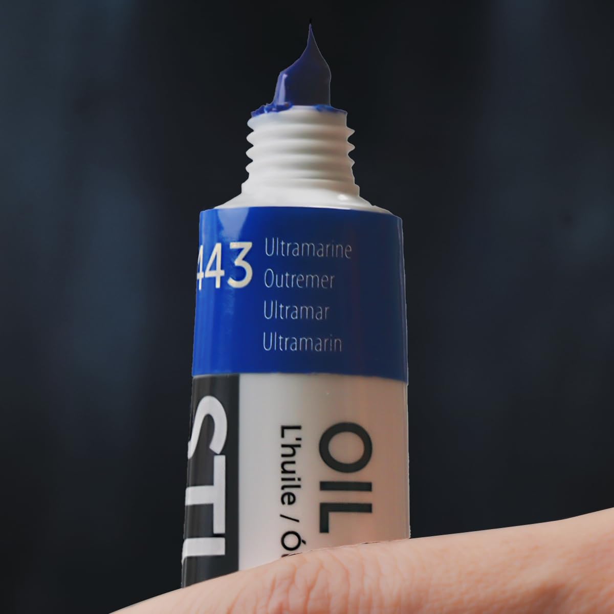 Oil Paint Set, 24x12ml/0.4 Fl Oz Tubes, Non-toxic Oil Based Paints for Canvas Crafts, Great Value Art Supplies for Artists, Adults & Beginners