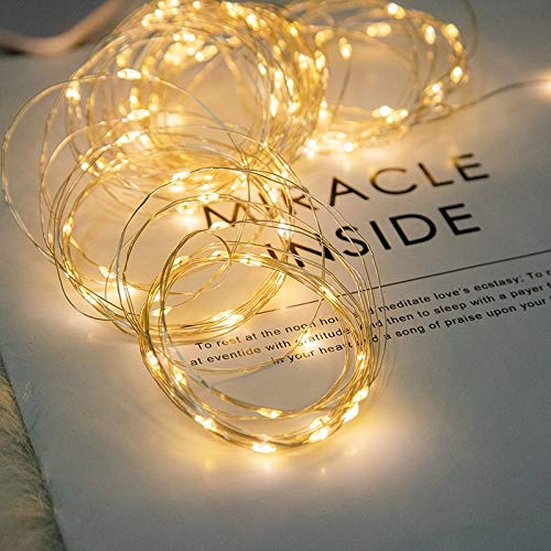 [12-Pack]String Lights Led Fairy Battery Starry String Lights 20 Tiny Lights On 3.5Ft Silver Wire For DIY Wedding Centerpiece, Mason Jar Craft, Christmas Tree, Garlands, Party Decoration (warm white)