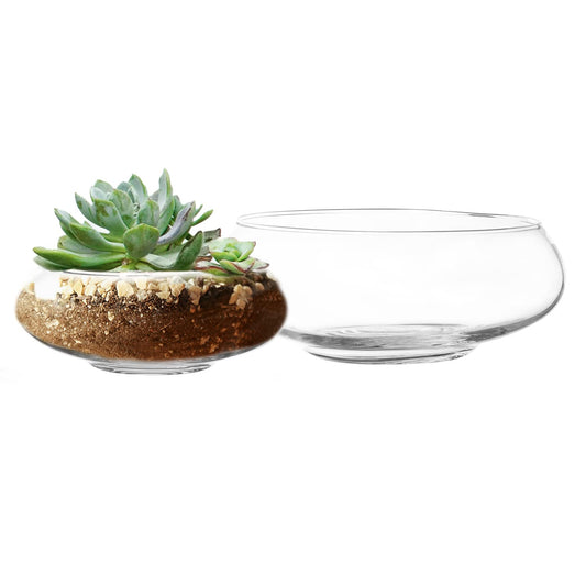 Round Glass Vase Set of 2 – Clear Decorative Glass Bowls for Flowers, Terrariums, Succulent Planters, Bubble Vases, Floral Decor Centerpieces, Glass Flower Pots for Home or Wedding Décor