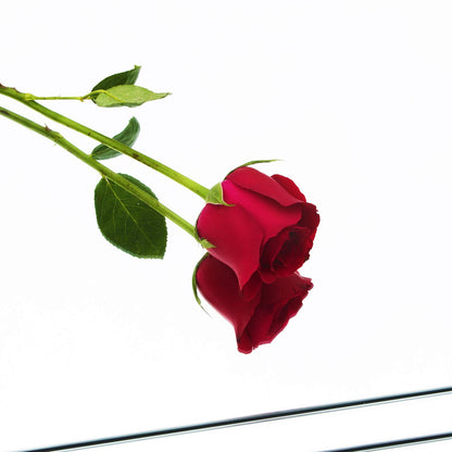 Full Length Wall Mirror Tiles, 12" x 12" x 4Pcs Frameless Wall Mounted Mirror Glass Wall Mirror for Home Gym, Door, Bedroom, Living Room