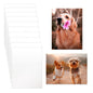 10 Pcs Sublimation Photo Blanks 8x10 Inch Metal Sign - Aluminum DIY Photo Sign Wall Frame Poster for Living Room Bedroom, White (Thickness 0.45mm)