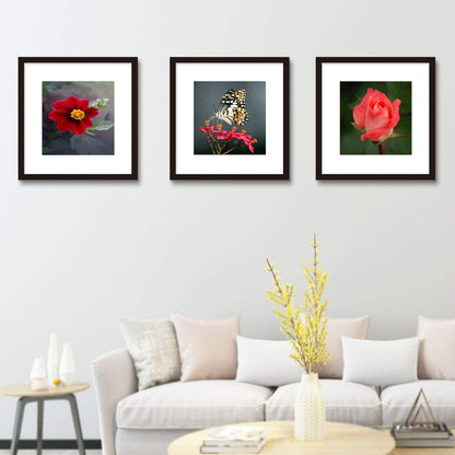 14x14 Frame Black With Mat 10x10 Solid Wood Picture Frames Wall Mounting (1 pack, 14x14 Inch)…