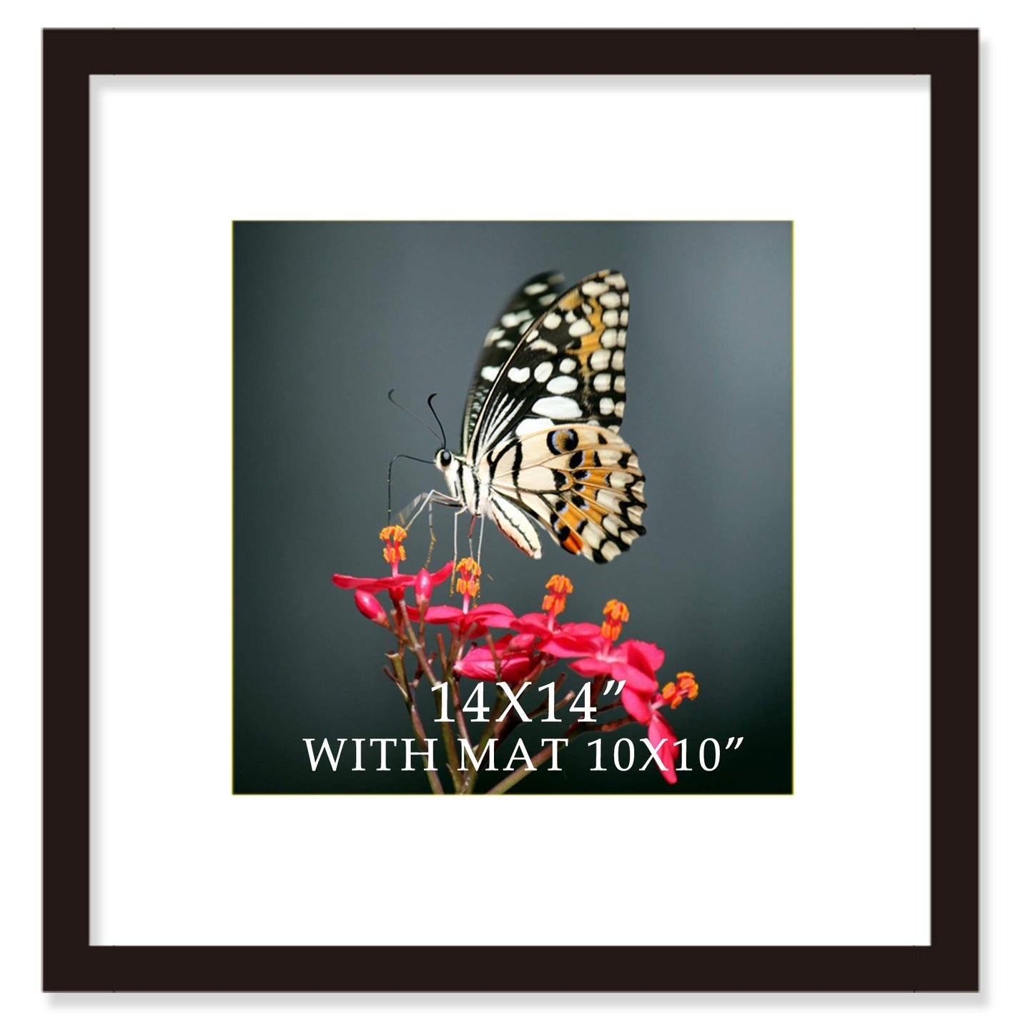 14x14 Frame Black With Mat 10x10 Solid Wood Picture Frames Wall Mounting (1 pack, 14x14 Inch)…