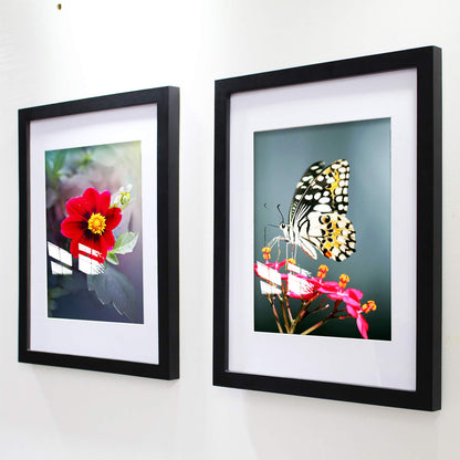 14x14 Frame Black With Mat 10x10 Solid Wood Picture Frames Wall Mounting (1 pack, 14x14 Inch)…