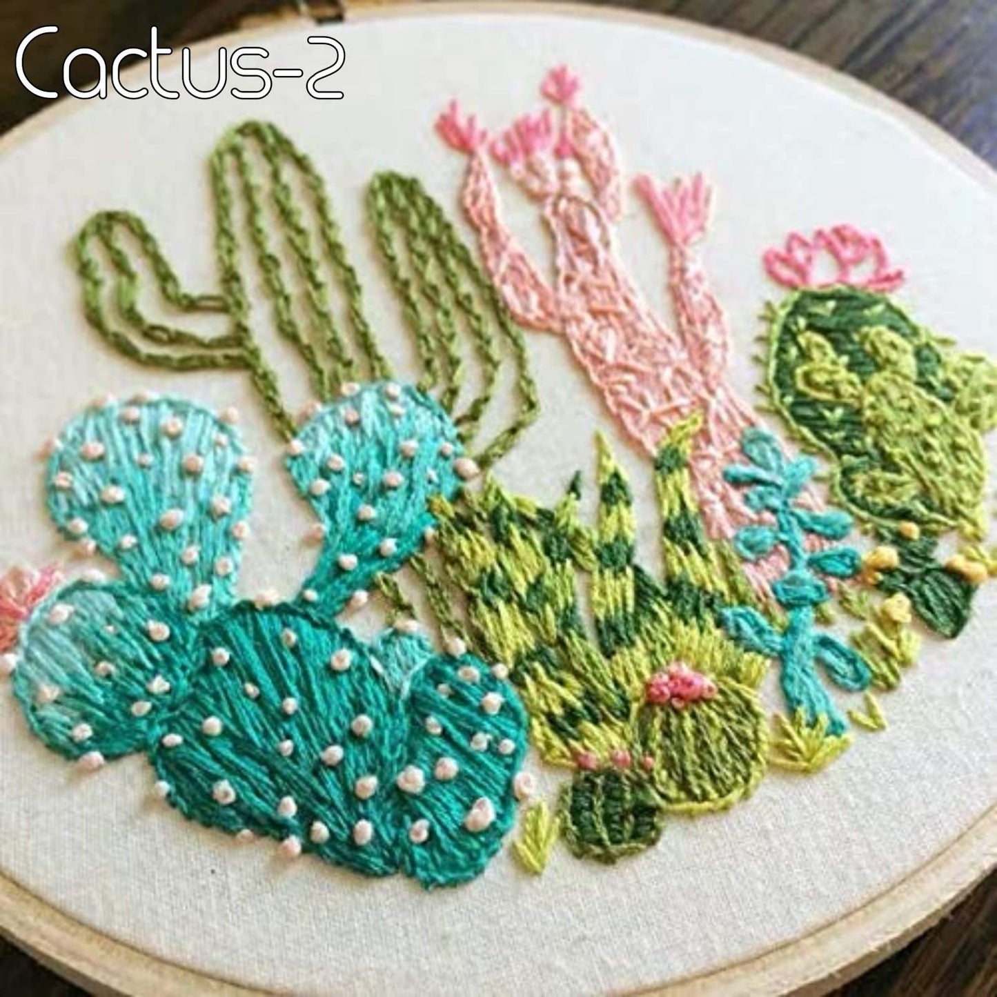 Embroidery Starter Kits for Adults Beginners with Stamped Pattern, Embroidery Floss + Needles + Hoop, Cactus Series, 3 Pack