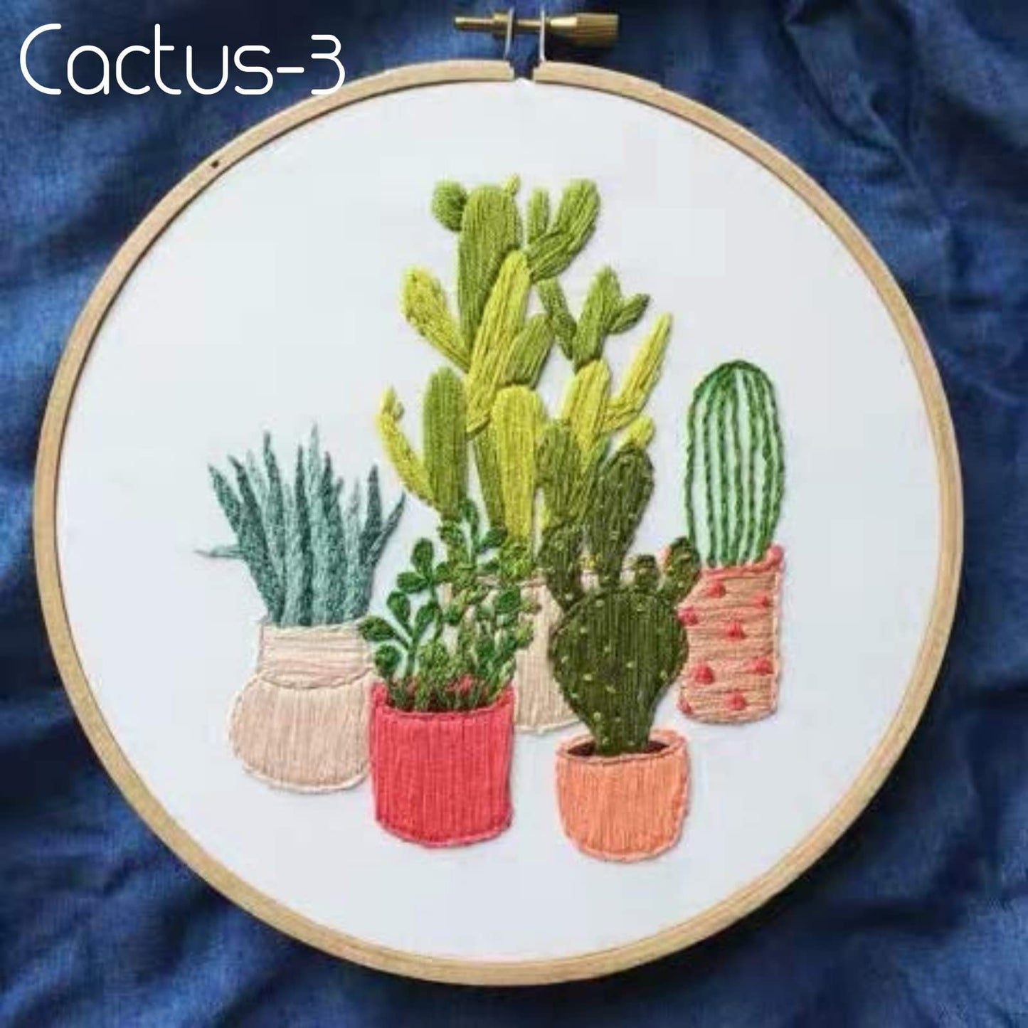 Embroidery Starter Kits for Adults Beginners with Stamped Pattern, Embroidery Floss + Needles + Hoop, Cactus Series, 3 Pack