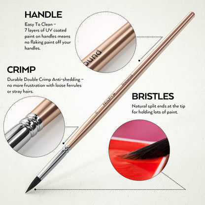 Watercolor Paint Set, 48 Water Colors Kit with 3 Painting Brushes, Palette, Watercolor Pen, Non-toxic Painting Supplies for Kids, Adults, Students, Beginners and Artists