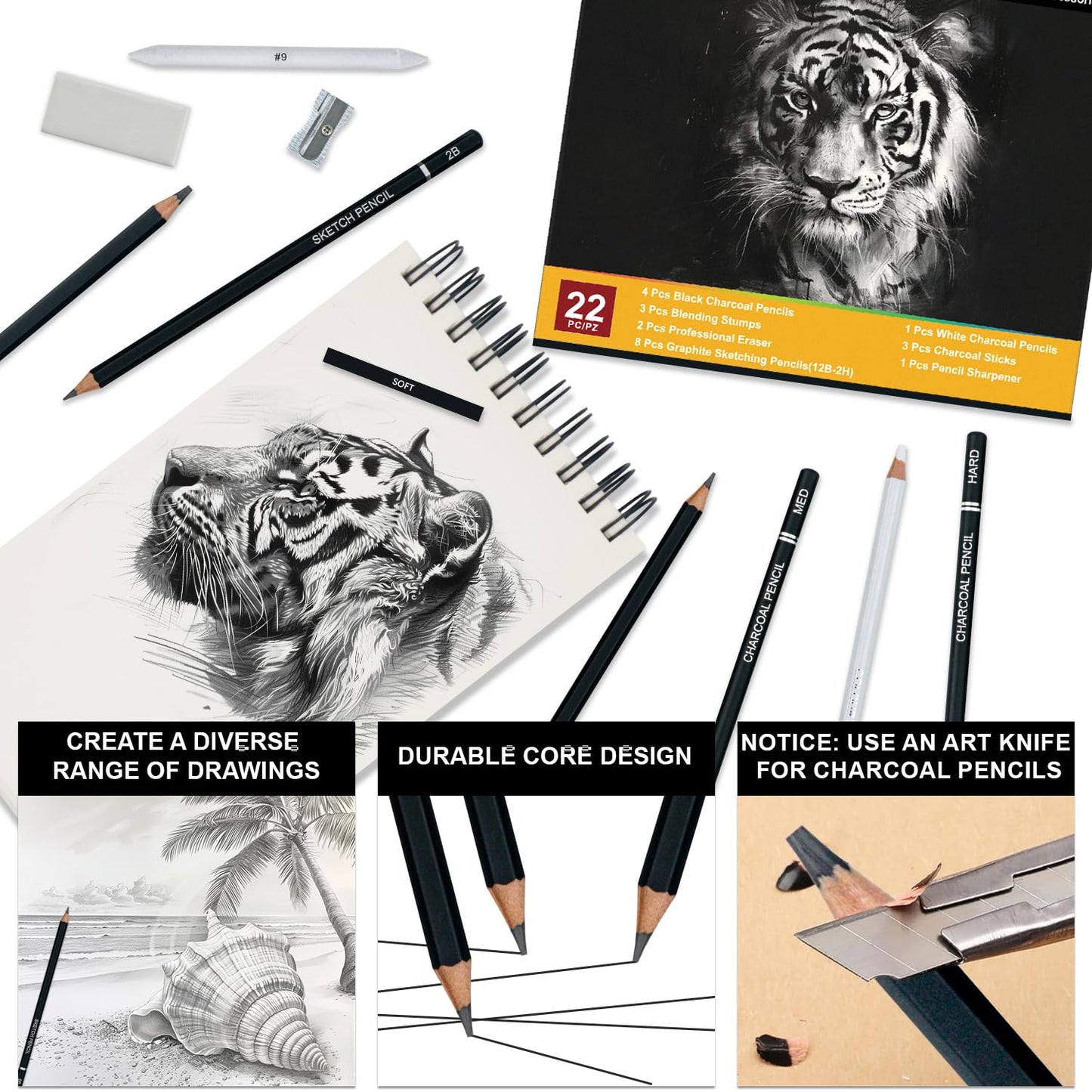 Pencils for Drawing, Set of 22, Professional Drawing Sketch Pencils, Art Supplies for Sketching, Shading, Artist Charcoal Supplies for Beginners & Pro Artists.