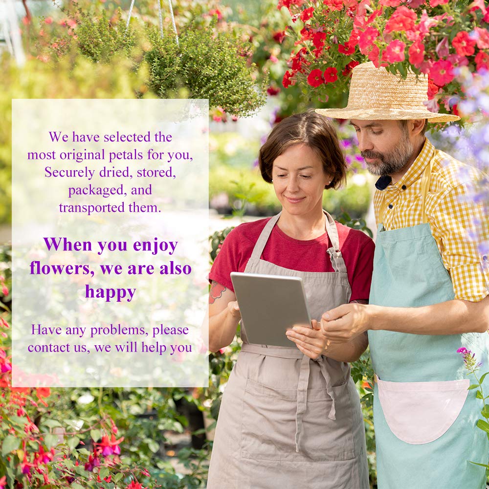 21 Bags 100% Natural Dry Flower Herbs Kit for Soap, DIY Candle, Bath, Resin Jewelry Making Include Lavender, Don't Forget Me, Lily, Rose Petals, Jasmine and More