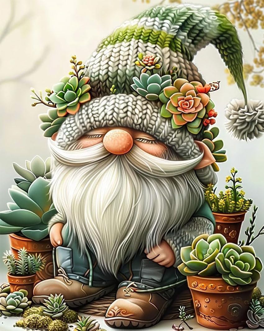 Gnome Stamped Cross Stitch Kits - Succulents Needlepoint Counted Cross Stitch Kits for Beginners Adults Patterns Dimensions Needlecrafts Embroidery Kits Arts and Crafts