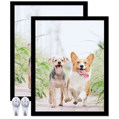 8.5x11 Picture Frame Set of 2, Black Photo Frames High Transparent Wall Gallery Desktop Horizontal Vertical for Canvas Collage Photo Poster Certificate 8.5 x 11 inches