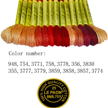 Premium Rainbow Color Embroidery Floss - Cross Stitch Threads - Friendship Bracelets Floss - Crafts Floss - 14 Skeins Per Pack Embroidery Floss,Light Peach Flesh Gradient