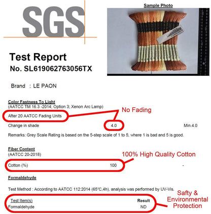 Premium Rainbow Color Embroidery Floss - Cross Stitch Threads - Friendship Bracelets Floss - Crafts Floss - 14 Skeins Per Pack Embroidery Floss,Light Peach Flesh Gradient