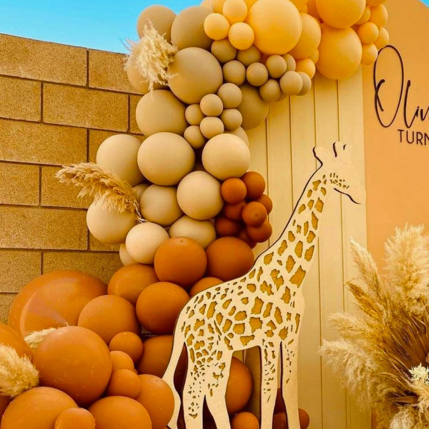 PartyWoo Burnt Orange Balloons 120 pcs Different Sizes Pack of 18 12 10 5 Inch Terracotta Balloon Arch Kit Garland for Graduation Thanksgiving Halloween Fall Birthday Party Decorations Orange-F53