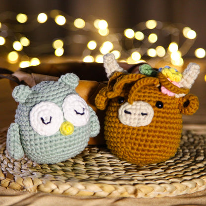 Crochet Box Crochet Kit for Beginner, Highland Cow and Owl Learn How to Crochet Stuffed Animals Gift for Adults and Kids(12+), Knitting Set with Yarn Hook Stitch-by-Stitch Video Tutorial