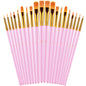 20 Pcs Paint Brushes for Acrylic Painting, Oil Watercolor Acrylic Paint Brush, Artist Paintbrushes for Body Face Rock Canvas, Kids Adult Drawing Arts Crafts Supplies, Pink