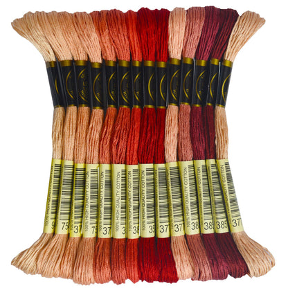 Premium Rainbow Color Embroidery Floss - Cross Stitch Threads - Friendship Bracelets Floss - Crafts Floss - 14 Skeins Per Pack Embroidery Floss,Light Peach Flesh Gradient