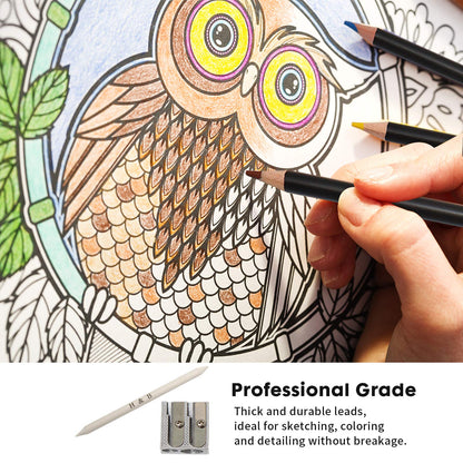 Sketching and Drawing Colored Pencils Set 96-Pieces,Art Supplies Painting Graphite Professional Art Pencils Kit,Gifts for Teens & Adults Drawing Charcoal Tool Set