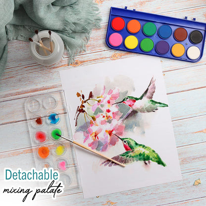 2 Pack Watercolor Paint Set 12 Vivid Colors Includes Watercolour Mixing Palette and 2 Brushes, Perfect For Artists, Beginner Painters, Kids and Adult Painting