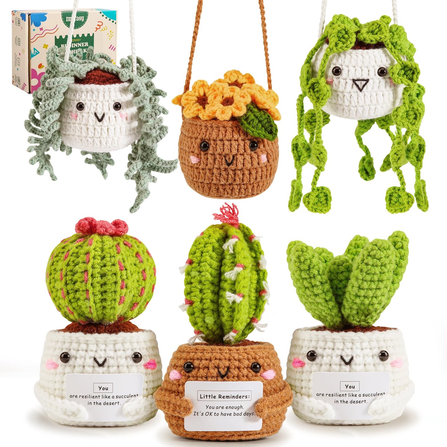 Crochet Kit for Beginners with Step by Step Video Lessons | 6 PC Potted Plants and Succulent Family Crochet Kit with Accessories (40%+ Yarn)