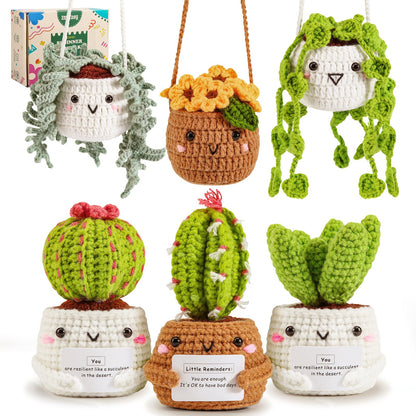 Crochet Kit for Beginners with Step by Step Video Lessons | 6 PC Potted Plants and Succulent Family Crochet Kit with Accessories (40%+ Yarn)