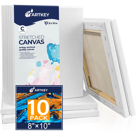 Canvases for Painting 8 x 10 Inch 10 - Pack, 5/8" Profile Stretched Canvas - 10 oz Primed, 100% Cotton White Blank Canvas - Art Paint Canvases for Acrylic Oil Paint