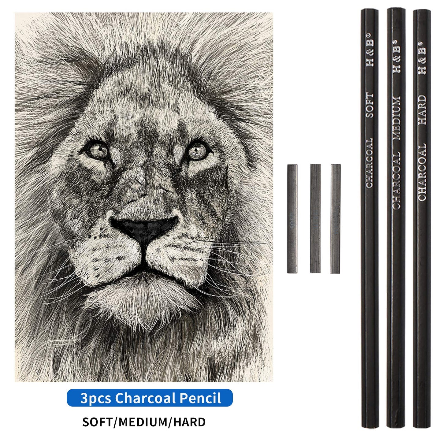 Sketching and Drawing Colored Pencils Set 96-Pieces,Art Supplies Painting Graphite Professional Art Pencils Kit,Gifts for Teens & Adults Drawing Charcoal Tool Set