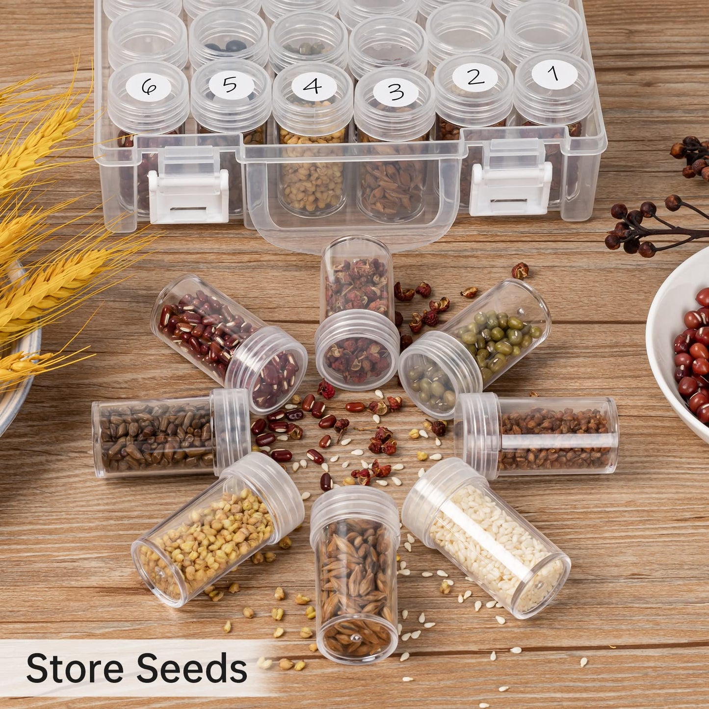 30 Slots Diamond Painting Storage Containers, Bead Organizer, Diamond Containers Diamond Painting Boxes Diamond Embroidery Box Storage Containers 30 Grids Storage Box for Beads Rhinestones (1 Pack)