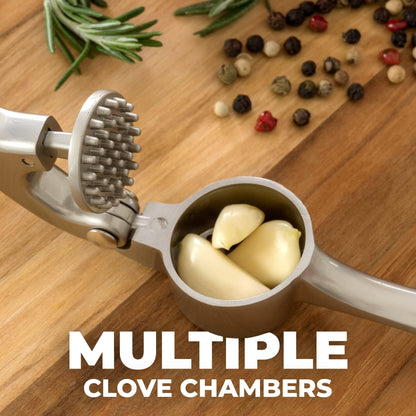 Kitchen Premium Garlic Press Set - Rust Proof & Dishwasher Safe Professional Garlic Mincer Tool - Easy-Squeeze, Easy-Clean with Soft, Ergonomic Handle - Silicone Garlic Peeler & Brush (Silver)