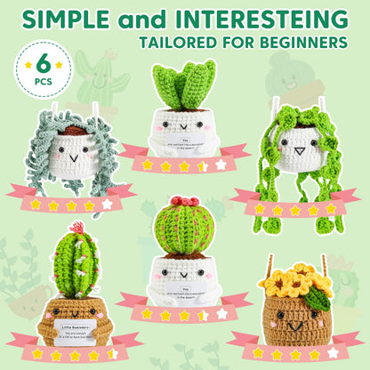 Crochet Kit for Beginners with Step by Step Video Lessons | 6 PC Potted Plants and Succulent Family Crochet Kit with Accessories (40%+ Yarn)