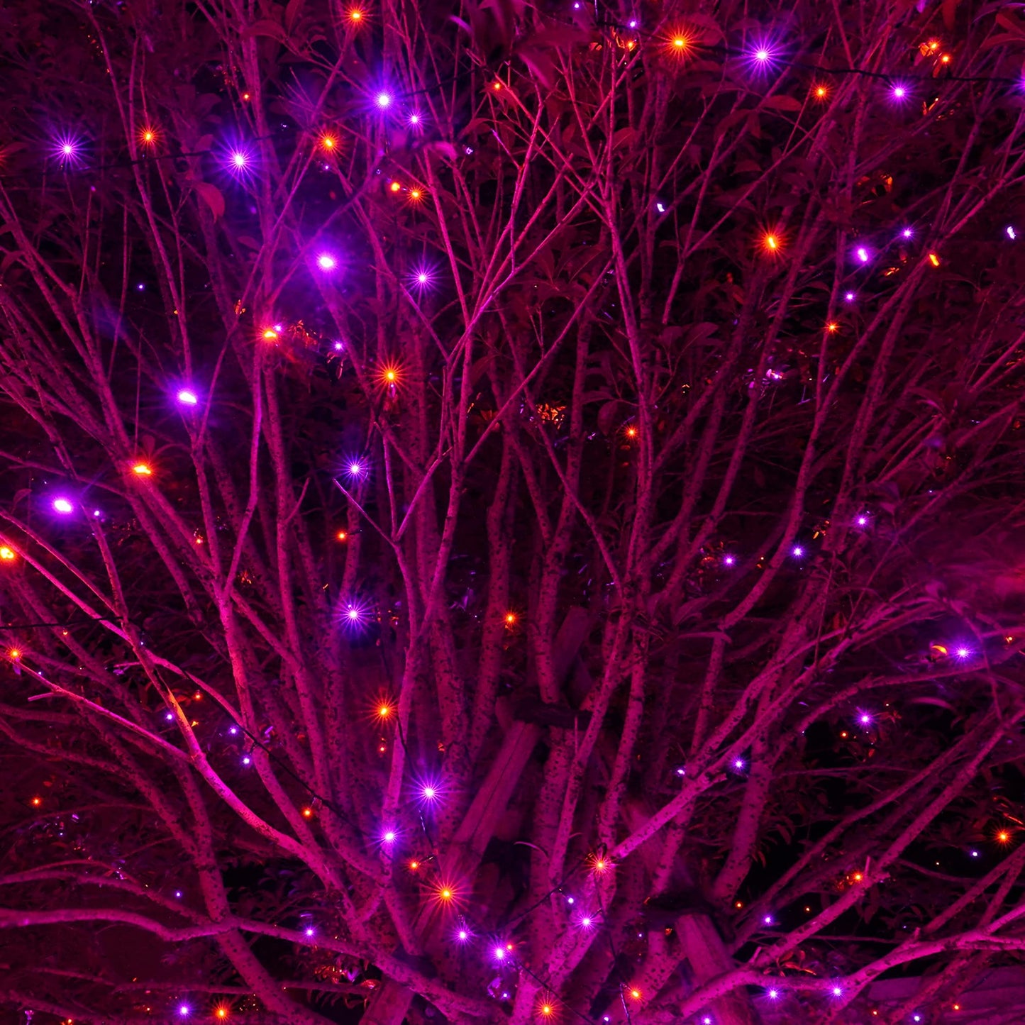 Halloween 300 LED String Lights, 100FT String Lights with 8 Lighting Modes, Halloween Decorations for Party Carnival Supplies, Outdoor Yard Garden Decor (Purple & Orange)