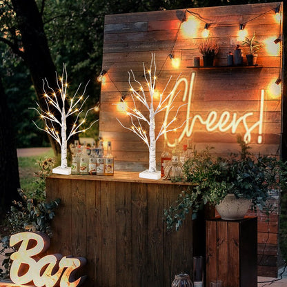 White Birch Tree with LED Lights - Set of 2, Tabletop Tree with Timer, Christmas Decorations Lighted Tree for Indoor Mantel Home Decor (2 FT, 24 LED)