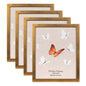 Gold 8x10 Picture Frame set of 4, Display 8x10 without Mat Wall Gallery Photo Frames