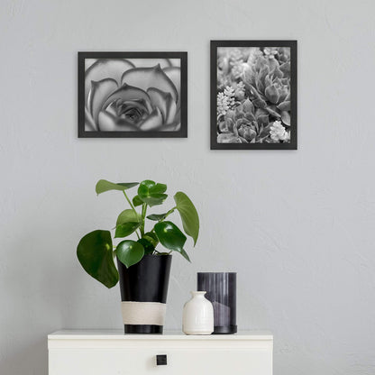 Gallery Essential Certificate Document Frame Set, Gallery Wall Frames Fit 8.5 x 11 Diplomas, Documents & Certificates, Black Woodgrain, 2-Pack