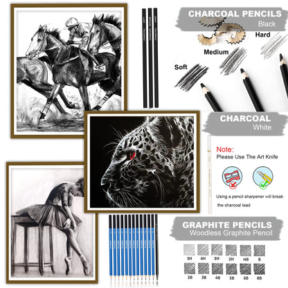 33 Pieces Pro Drawing Kit Sketching Pencils Set,Portable Zippered Travel Case-Charcoal Pencils, Sketch Pencils, Charcoal Stick,Sharpener,Eraser.Art Supplies for Artists Beginner Adults Teens
