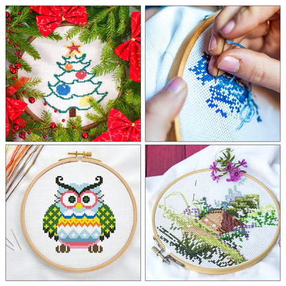 304 Pack Embroidery Kit, 200 Colors Threads, 5 Pcs Bamboo Embroidery Hoops, 2 Pcs Aida Cloth, Instructions, Bag and Cross Stitch Tools Set, Hand Embroidery Starter Kit for Beginners Adults