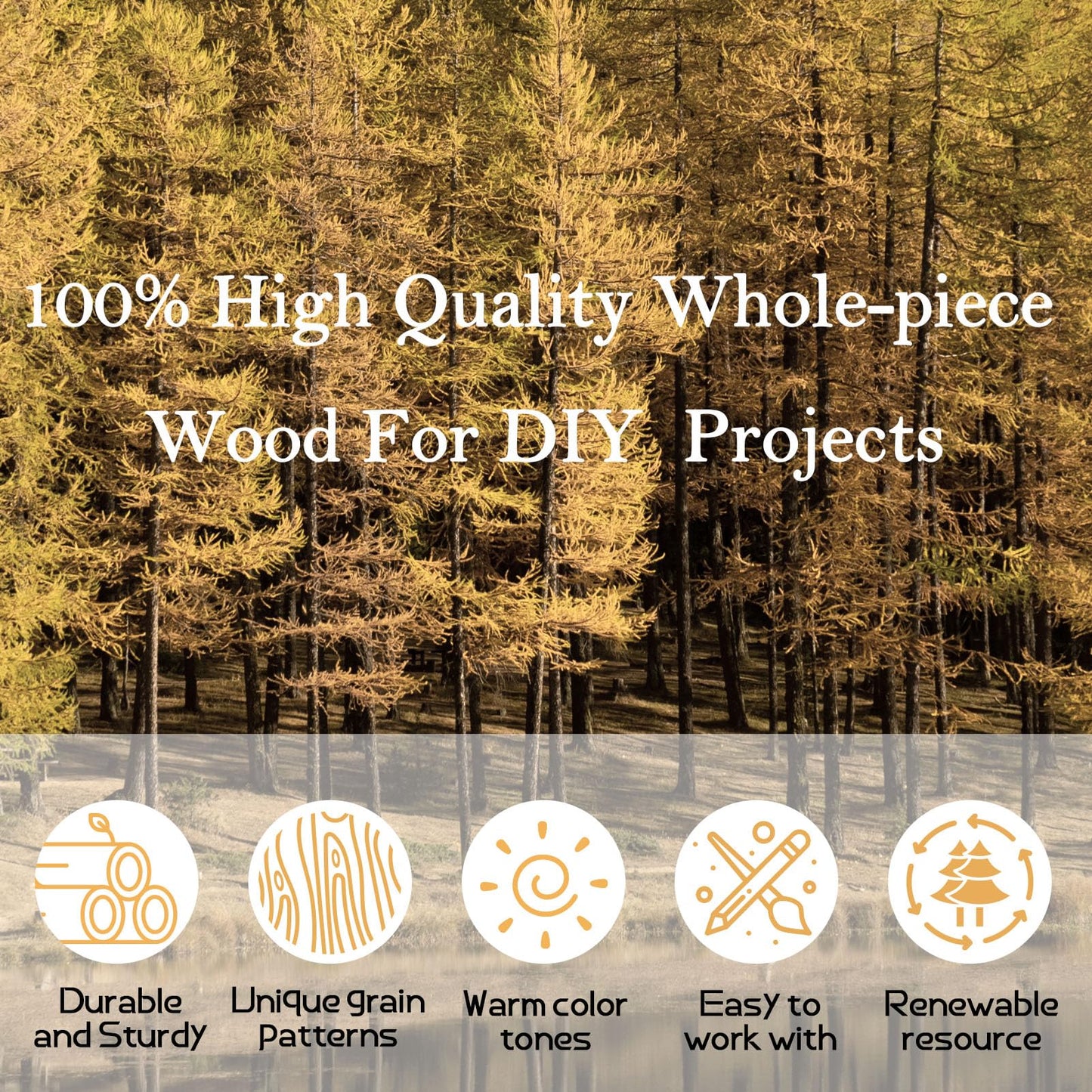 12 Pieces Unfinished Wood Coasters, GOH DODD 4 Inch Wooden Slices Blanks Bulk Set with Foot Pads for Drinks Crafts Laser Engraving Wood Burning Staining Painting Decoupage Wedding Halloween, Round